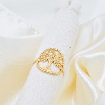 Bague en acier inoxydable - BG310245