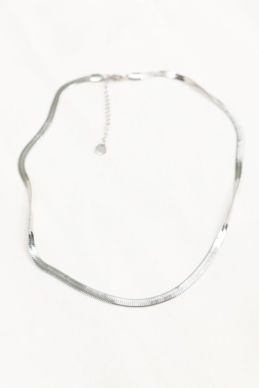 Collana a catena in argento con serpente