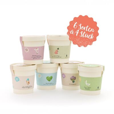 Set di 24 tazze con 6 varietà