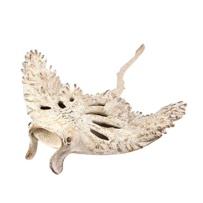 Creature coralline - Manta, 44 cm