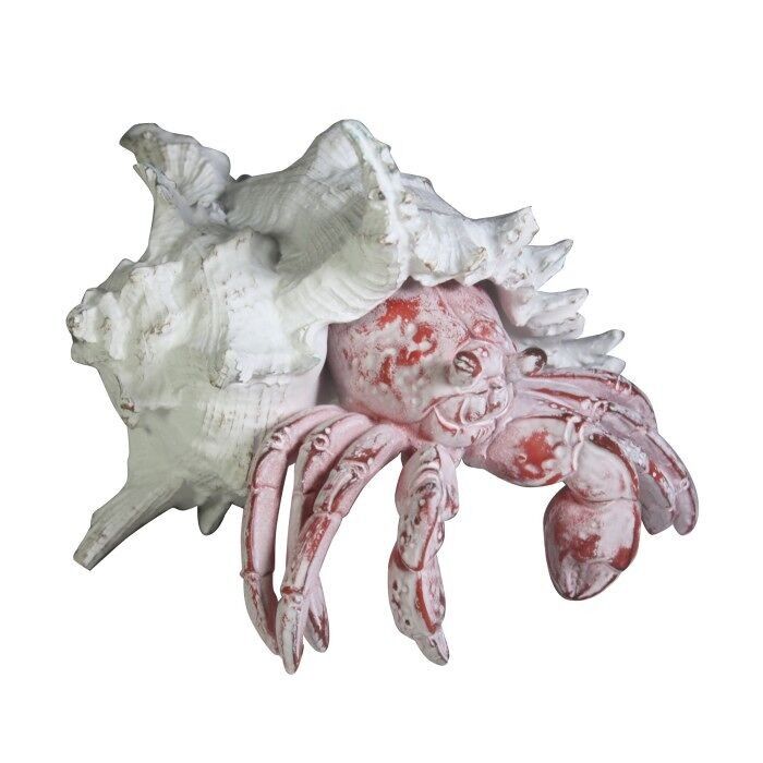 Creature coralline - Paguro, 19 cm