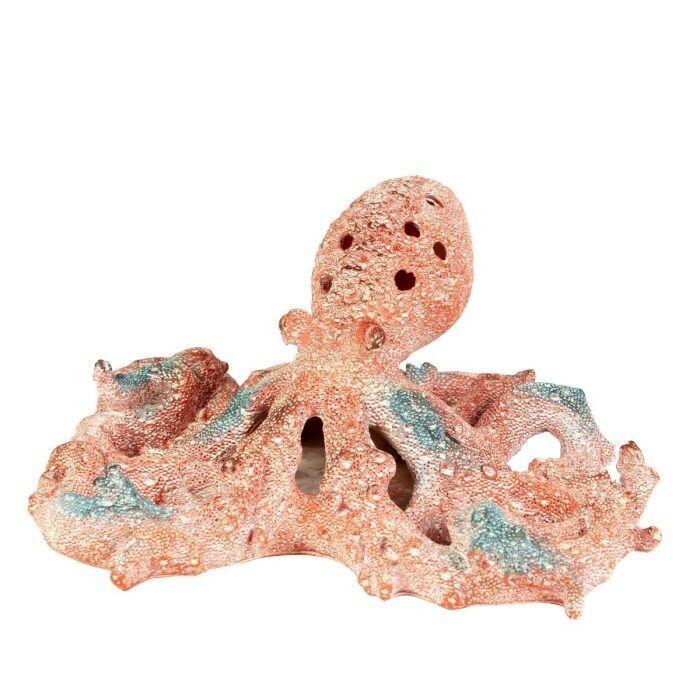 Creature coralline - Polpo, 28 cm