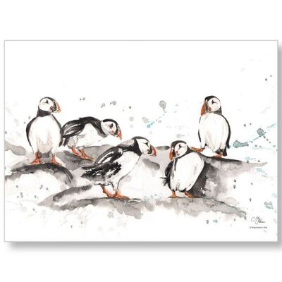 Torchon Puffin Group de Meg Hawkins (remplace le code 16777)