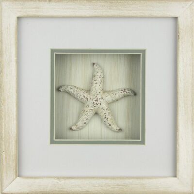 Décor encadré étoile de mer, 23 cm