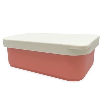 Stainless steel lunch box with silicone lid