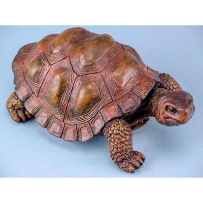 Tortue, 16 cm