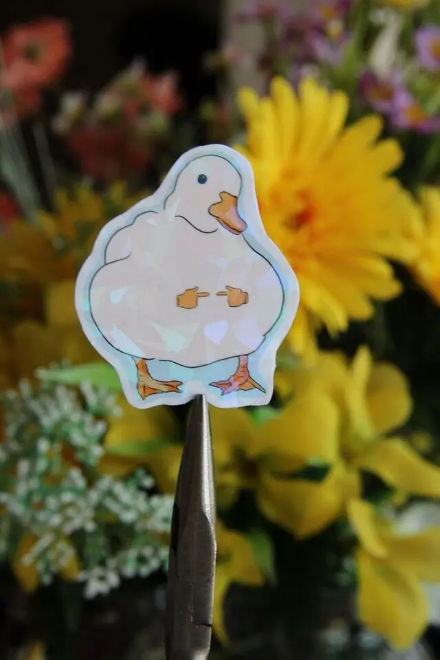Buy wholesale Shy Duck Sticker