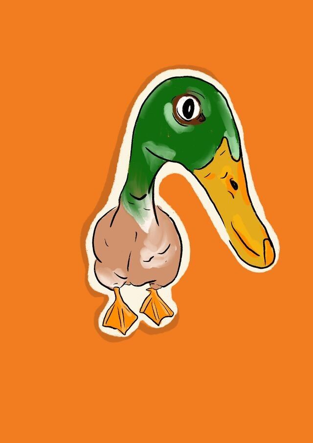 Duck Sticker "What?!!"                                                                                                                                                                                                                                                                                                                                                                                                                                                                                                                                                                                                                                                                                                                                                                                                                                                                                                                                                                                                                                                                                                                                                                                                                                                                                                                                                                                                                                                                                                                                                                                                                                                                                                                                                                                                                                                                                                                                                                                                                                                                                                                                                                                                                                                                                                                                                                                                                                                                                                                                                                                                                                                                                                                                                                                                                                                                                                                                                                                                                                                                                                                                                                                                                                                                                                                                                                                                                                                                                                                                                                                                                                                                                                                                                                                                                                                                                                                                                                                                                                                                                                                                                                                                                                                                                                                                                                                                                                                                                                                                                                                                                                                                                                                                                                                                                                                                                                                                                                                                                                                                                                                                                                                                                                                                                                                                                                                                                                                                                                                                                                                                                                                                                                                                                                                                                                                                                                                                                                                                                                                                                                                                                                                                                                                                                                                                                                                                                                                                                                                                                                                                                                                                                                                                                                                                                                                                                                                                                                                                                                                                                                                                                                                                                                                                                                                                                                                                                                                                                                                                                                                                                                                                                                                                                                                                                                                                                                                                                                                                                                                                                                                                                                                                                                                                                                                                                                                                                                                                                                                                                                                                                                                                                                                                                                                                                                                                                                                                                                                                                                                                                                                                                                                                                                                                                                                                                                                                                                                                                                                                                                                                                                                                                                                                                                                                                                                                                                                                                                                                                                                                                                                                                                                                                                                                                                                                                                                                                                                                                                                                                                                                                                                                                                                                                                                                                                                                                                                                                                                                                                                                                                                                                                                                                                                                                                                                                                                                                                                                                                                                                                                                                                                                                                                                                                                                                                                                                                                                                                                                                                                                                                                                                                                                                                                                                                                                                                                                                                                                                                                                                                                                                                                                                                                                                                                                                                                                                                                                                                                                                                                                                                                                                                                                                                                                                                                                                                                                                                                                                                                                                                                                                                                                                                                                                                                                                                                                                                                                                                                                                                                                                                                                                                                                                                                                                                                                                                                                                                                                                                                                                                                                                                                                                                                                                                                                                                                                                                                                                                                                                                                                                                                                                                                                                                                                                                                                                                                                                                                                                                                                                                                                                                                                                                                                                                                                                                                                                                                                                                                                                                                                                                                                                                                                                                                                                                                                                                                                                                                                                                                                                                                                                                                                                                                                                                                                                                                                                                                                                                                                                                                                                                                                                                                                                                                                                                                                                                                                                                                                                                                                                                                                                                                                                                                                                                                                                                                                                                                                                                                                                                                                                                                                                                                                                                                                                                                                                                                                                                                                                                                                                                                                                                                                                                                                                                                                                                                                                                                                                                                                                                                                                                                                                                                                                                                                                                                                                                                                                                         