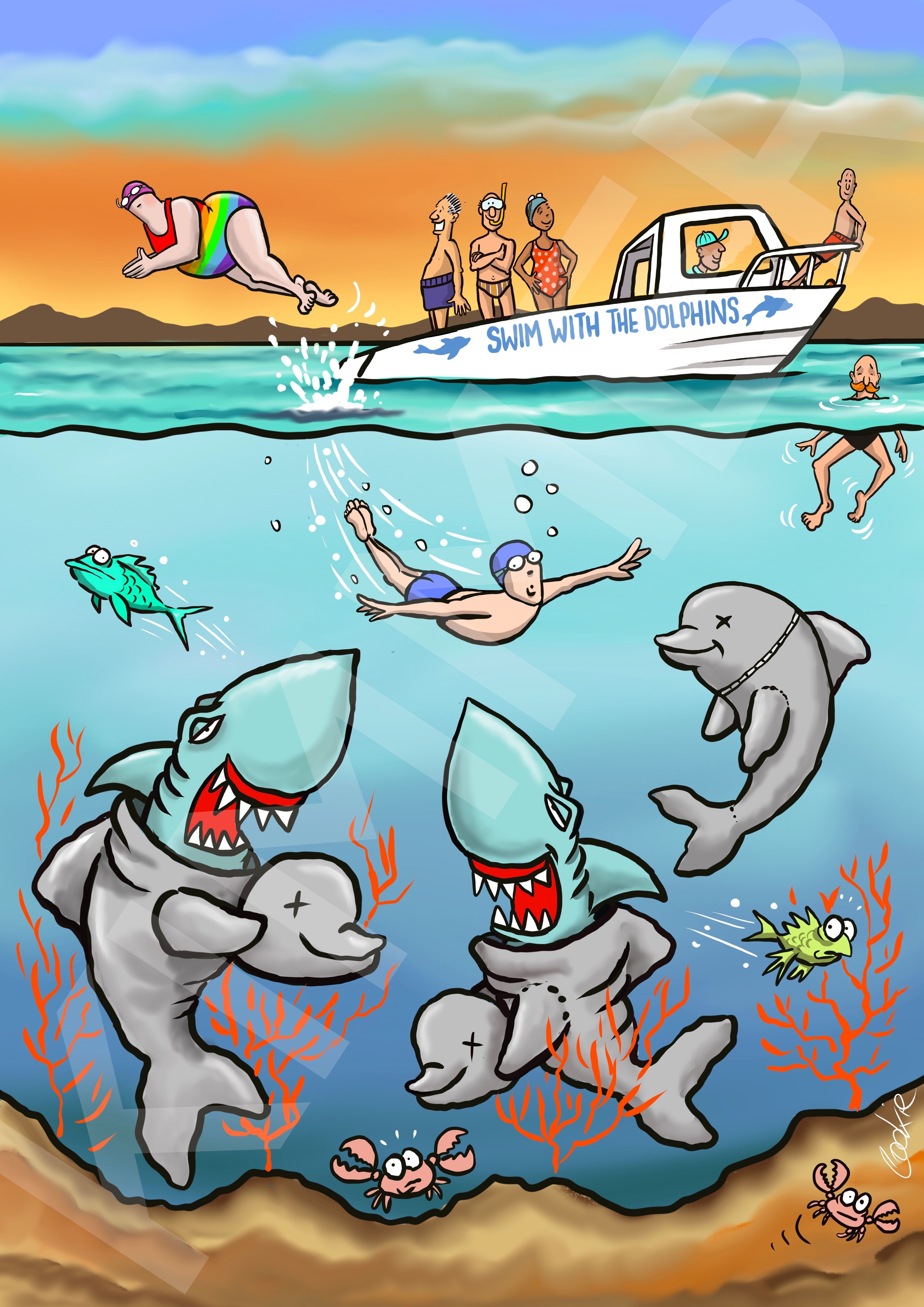 Flocker | Kimmer con gli squali | Biglietti di auguri vuoti Kimmer