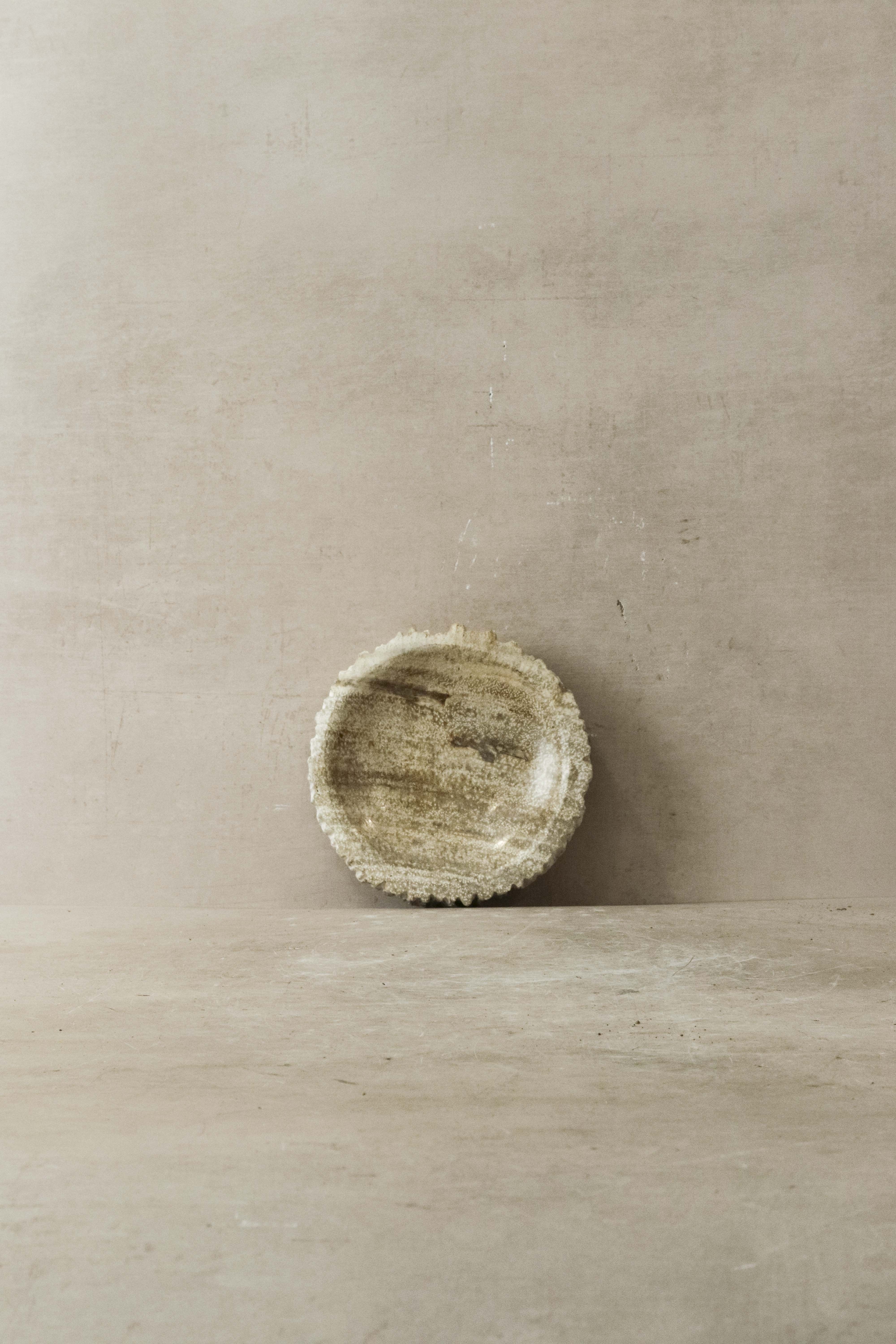 Tablett aus versteinertem Holz - 1