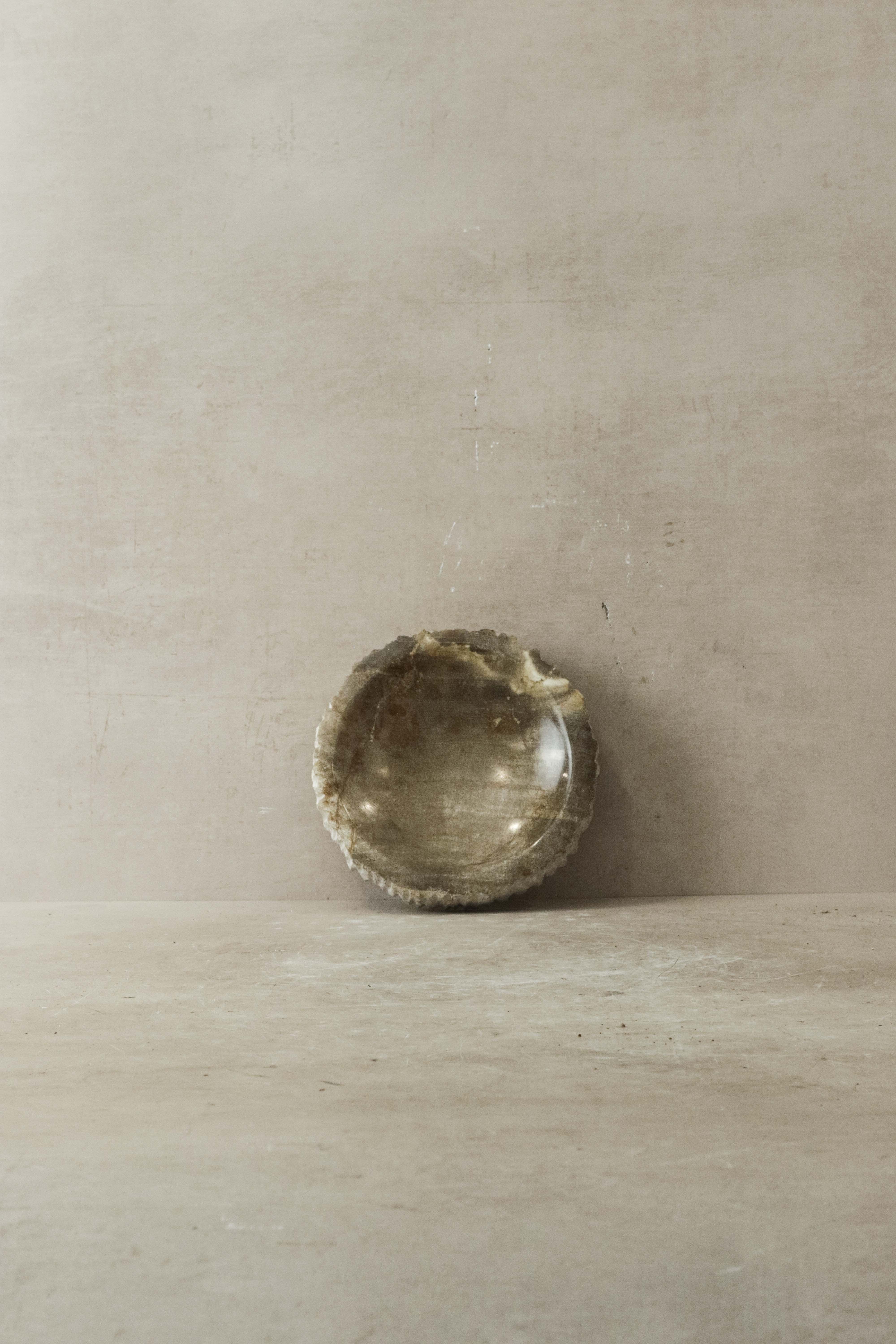 Tablett aus versteinertem Holz - 4