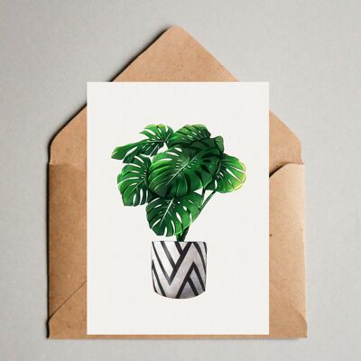 Cartolina / Stampa A6 - Monstera deliziosa