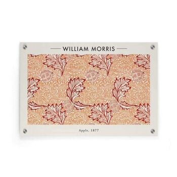 William Morris - Pomme - Affiche encadrée - 20 x 30 cm 5