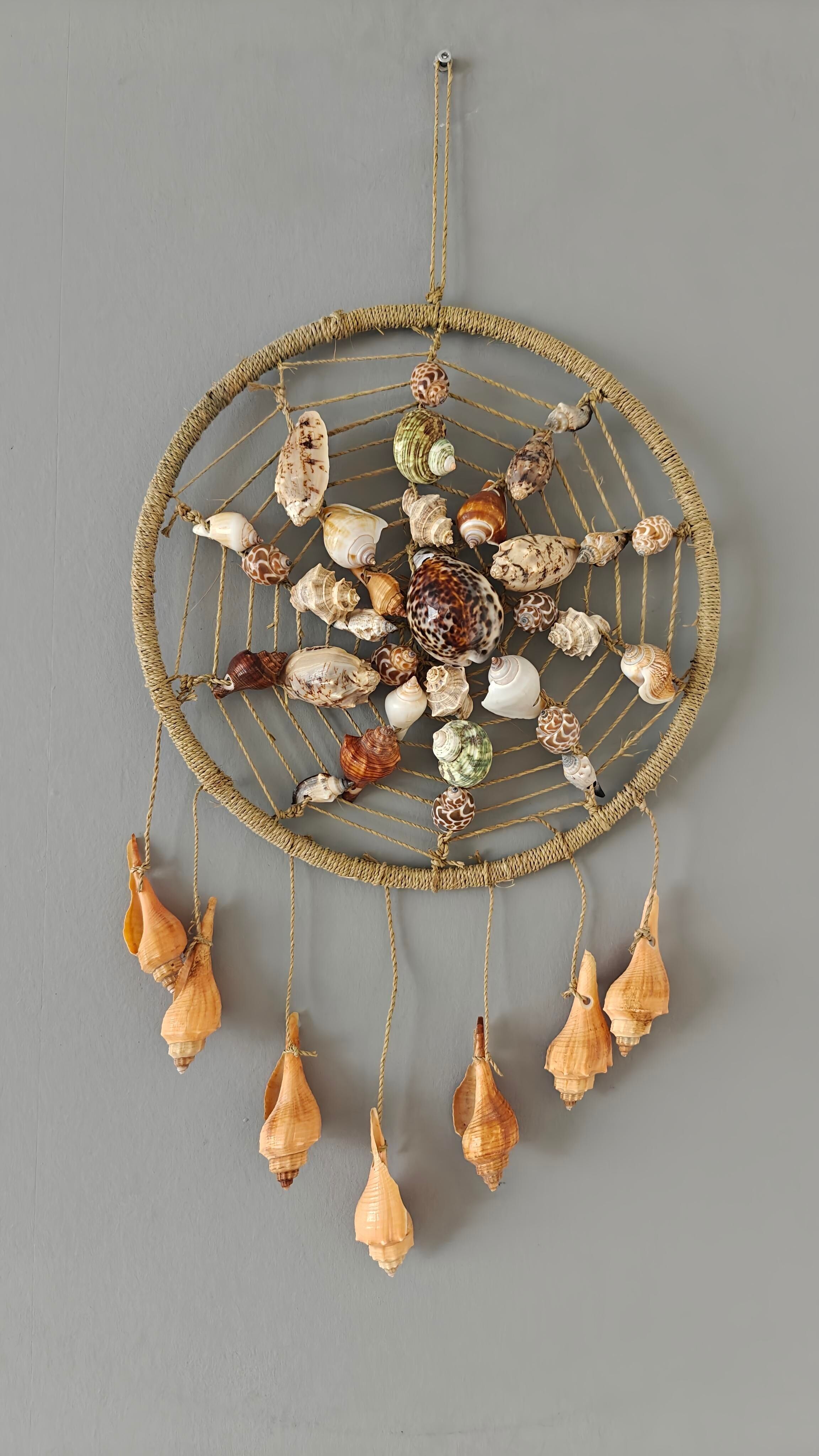 Sogno - cocco - ciondolo - conchiglia naturale - conchiglie - decorazione - conchiglia - conchiglie - conchiglie costiere - ornamenti di conchiglia - conchiglie naturali - spiaggia - costiero - esotico