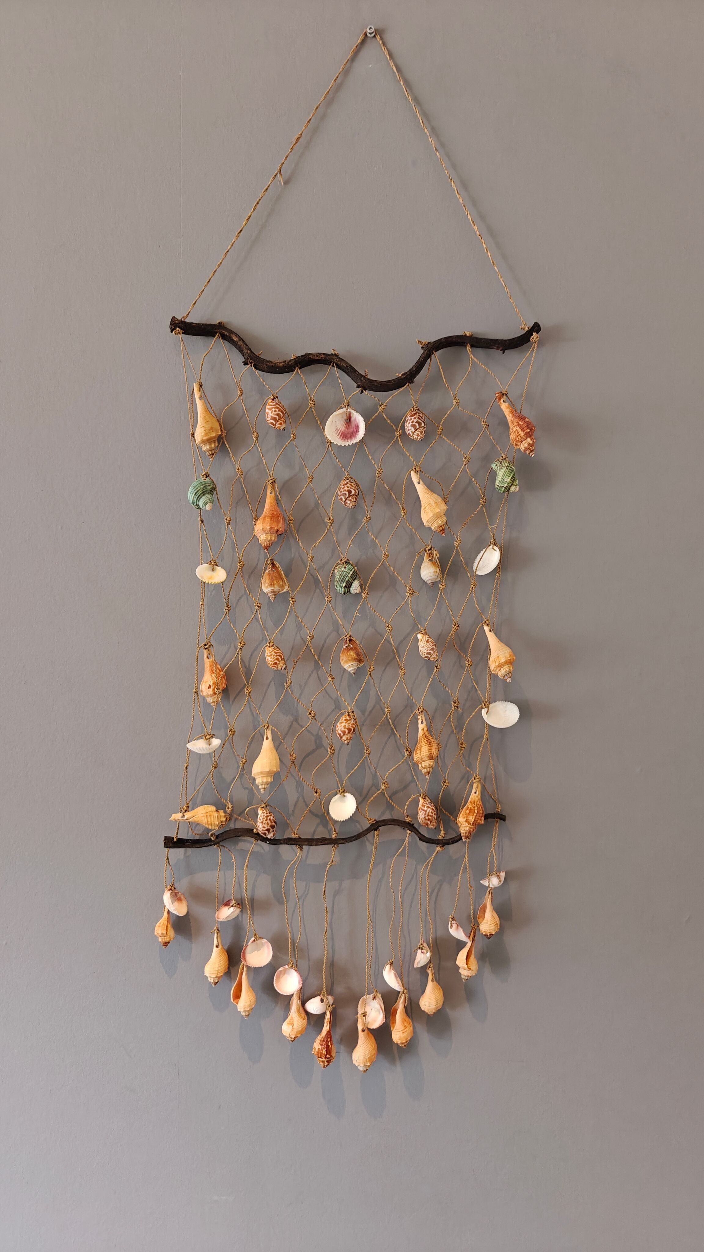 Jaring medio - pendente - conchiglia naturale - conchiglie - decorazione - conchiglia - conchiglie - conchiglie costiere - ornamenti di conchiglie - conchiglie naturali - spiaggia - costiero - esotico