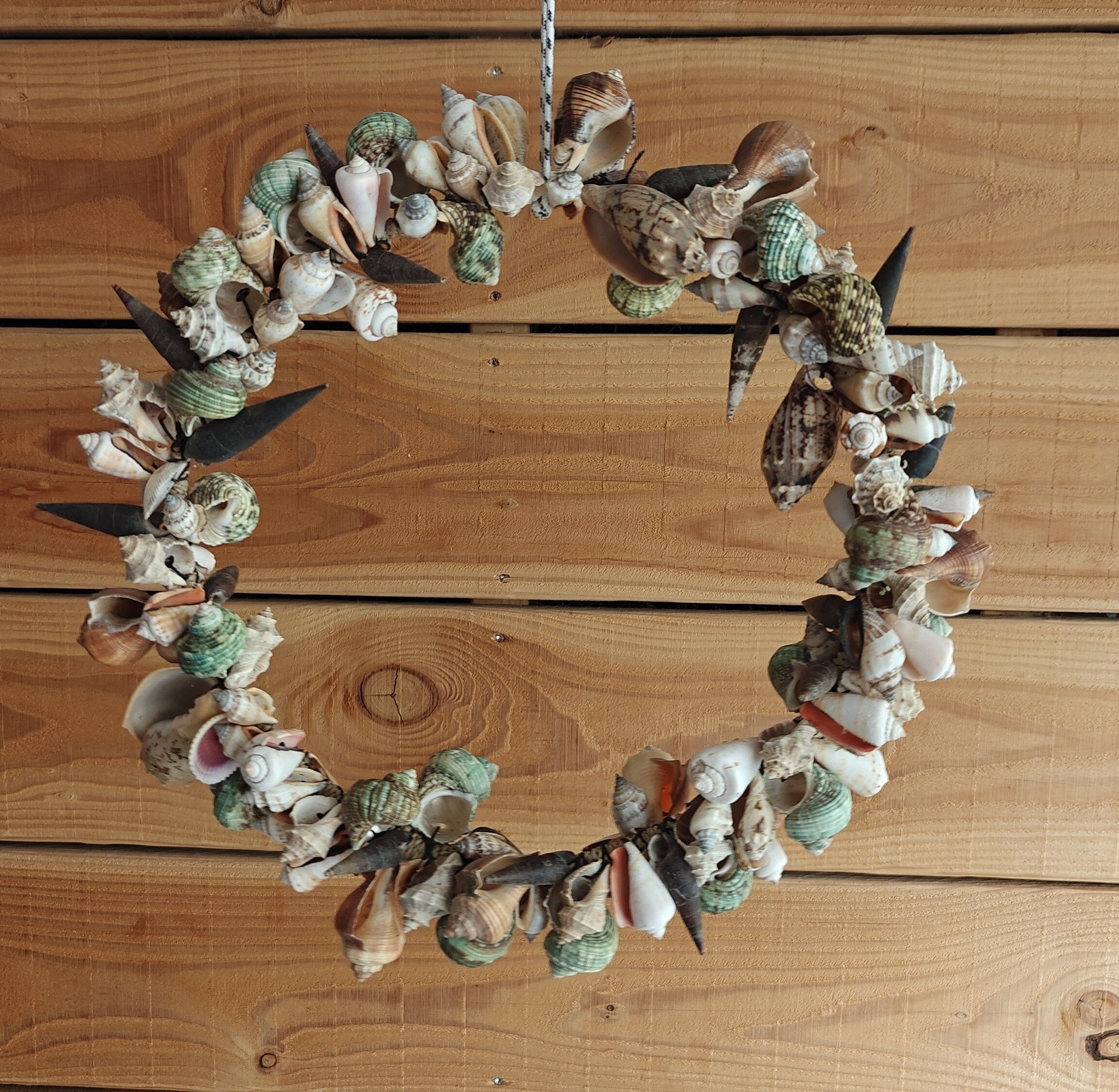 Ghirlanda di conchiglie 30 cm - conchiglia naturale - conchiglie - decorazione - conchiglia - conchiglie - conchiglie costiere - ornamenti di conchiglie - conchiglie naturali - spiaggia - costiero - esotico