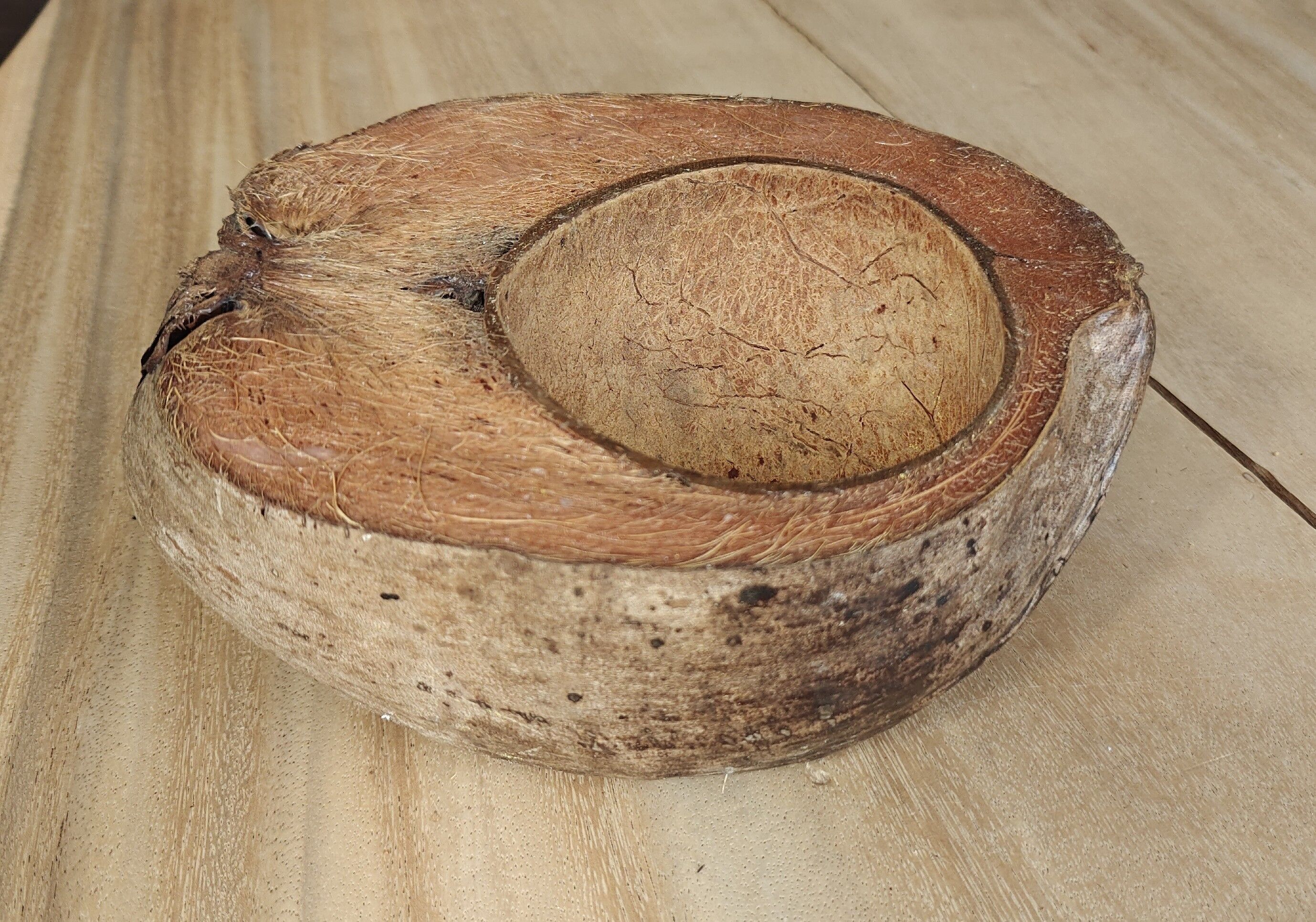 Coco half - natural - handmade - fibers - coconut - container - storage - exotic - coast - beach