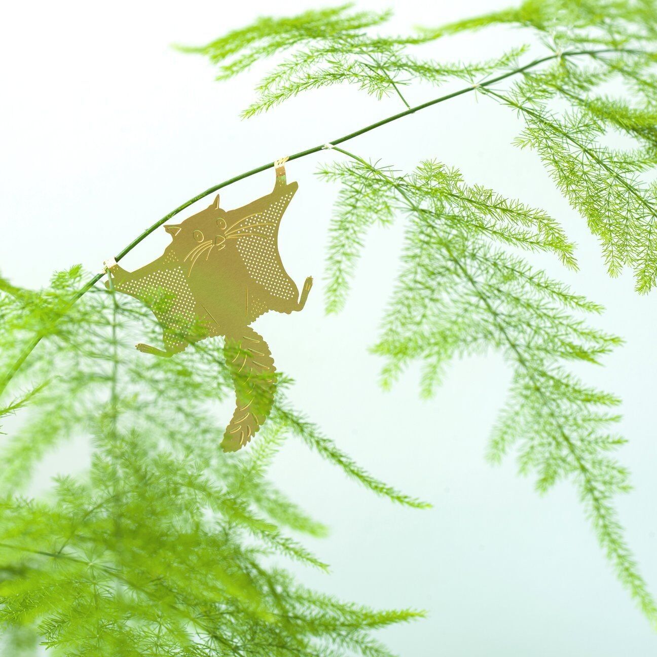 PIANTA ANIMALE – scoiattolo volante | Another Studio