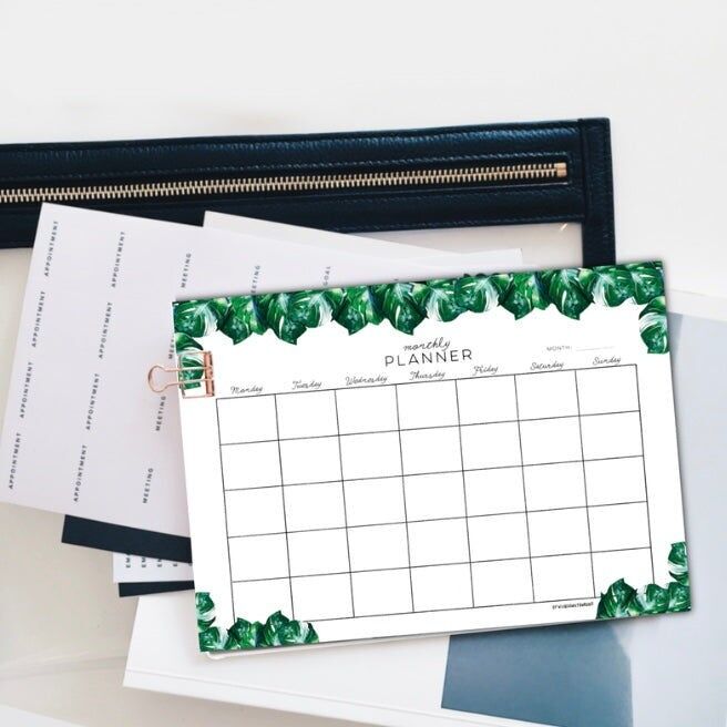 Monatsplaner - Monstera variegata A5 - 25 Blatt