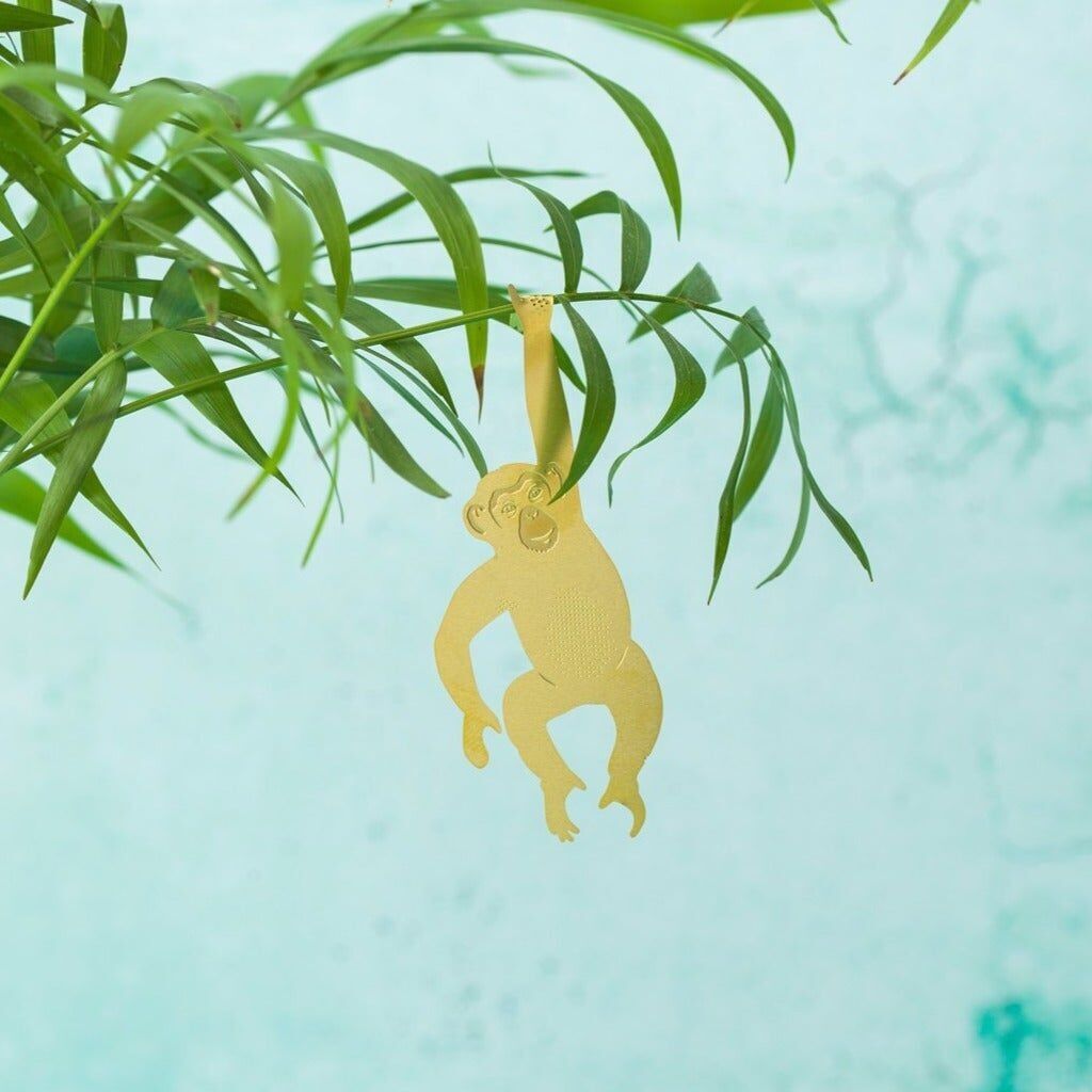 PIANTA ANIMALE – Scimpanzé | Another Studio