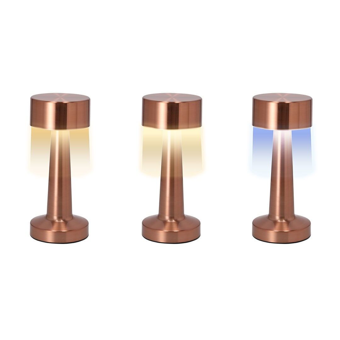 ELEGANTE LAMPADA CON FINITURA ORO ROSA. 3 MODALITÀ DI LUCE (BIANCO, NEUTRO E CALDO) CON SISTEMA DI CONTROLLO DELL'INTENSITÀ DELLA LUCE SENSIBILE AL TOCCO. DOTATO DI 24 LED. CON PULSANTE ON/OFF.21.5 X CM | 9 Ø |250 GR.