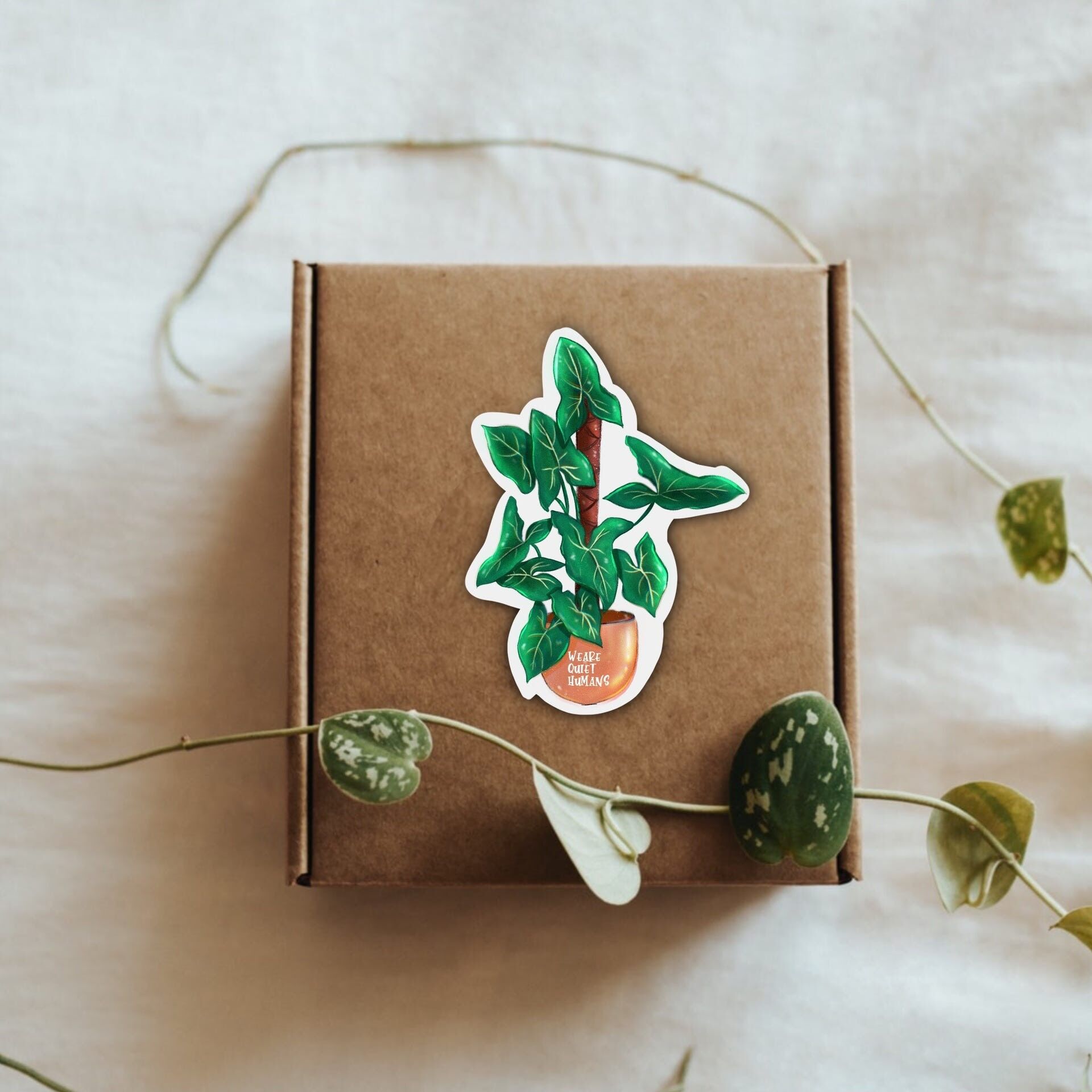 Étiquette d'expédition Syngonium Green Arrow