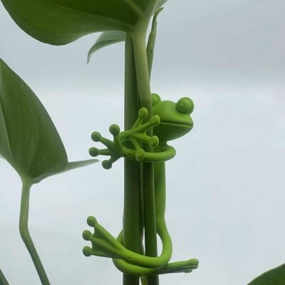 Attache plantes et tuteurs grenouille