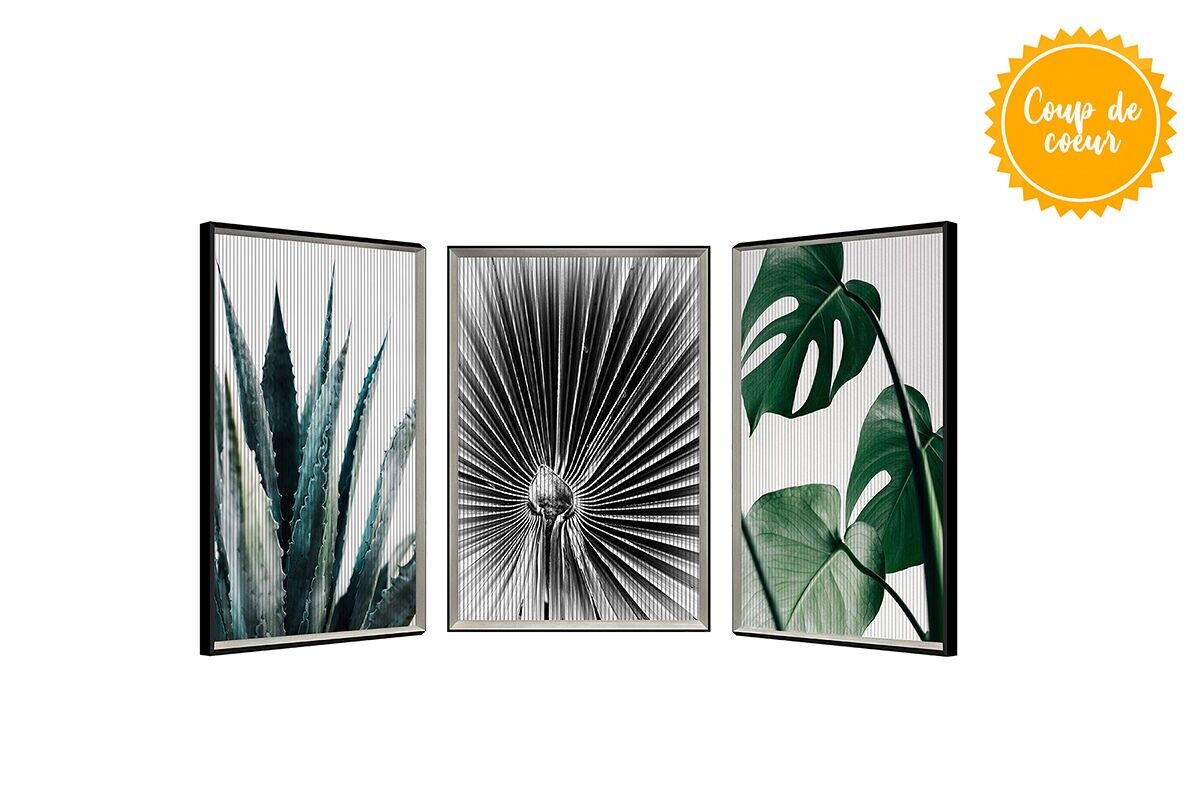 TA5825 - CUADRO DE PALMERA CINÉTICA MARCO PLATEADO 60*40 - GALERÍA