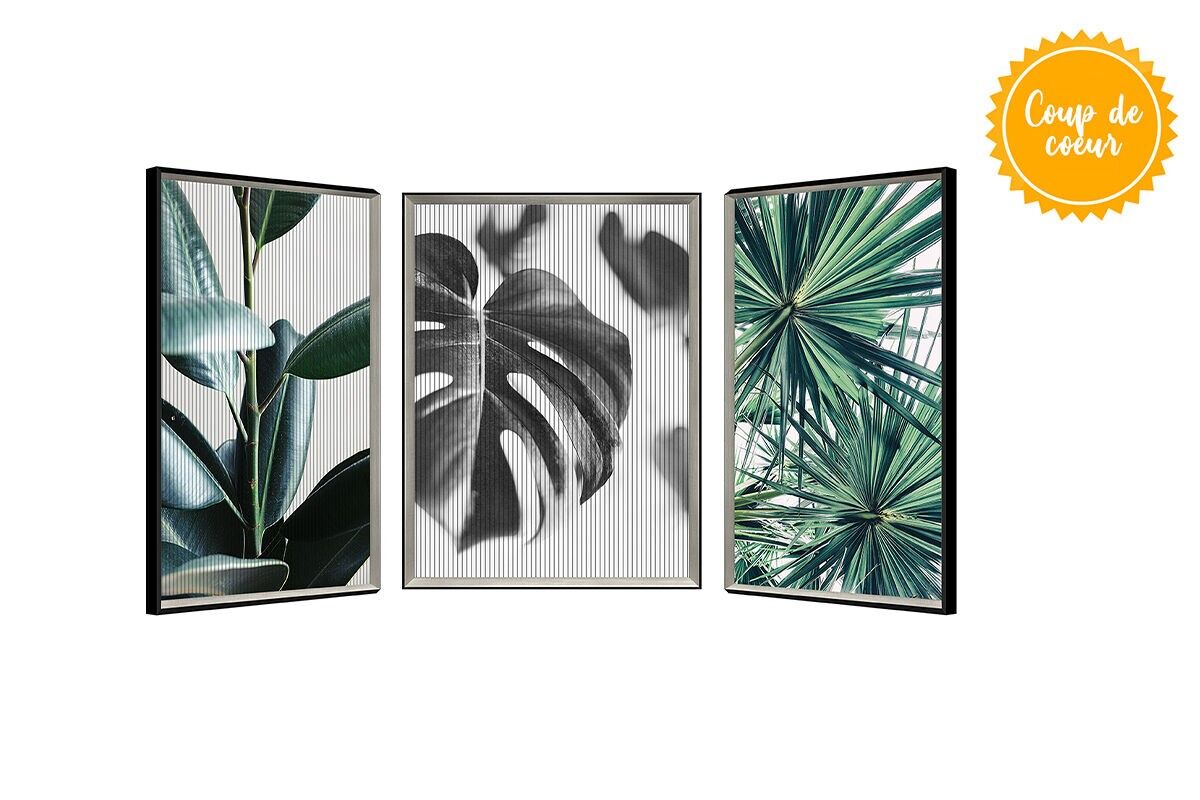 TA5830 - CUADRO CINÉTICO MONSTERA MARCO PLATEADO 80*60 - GALERÍA