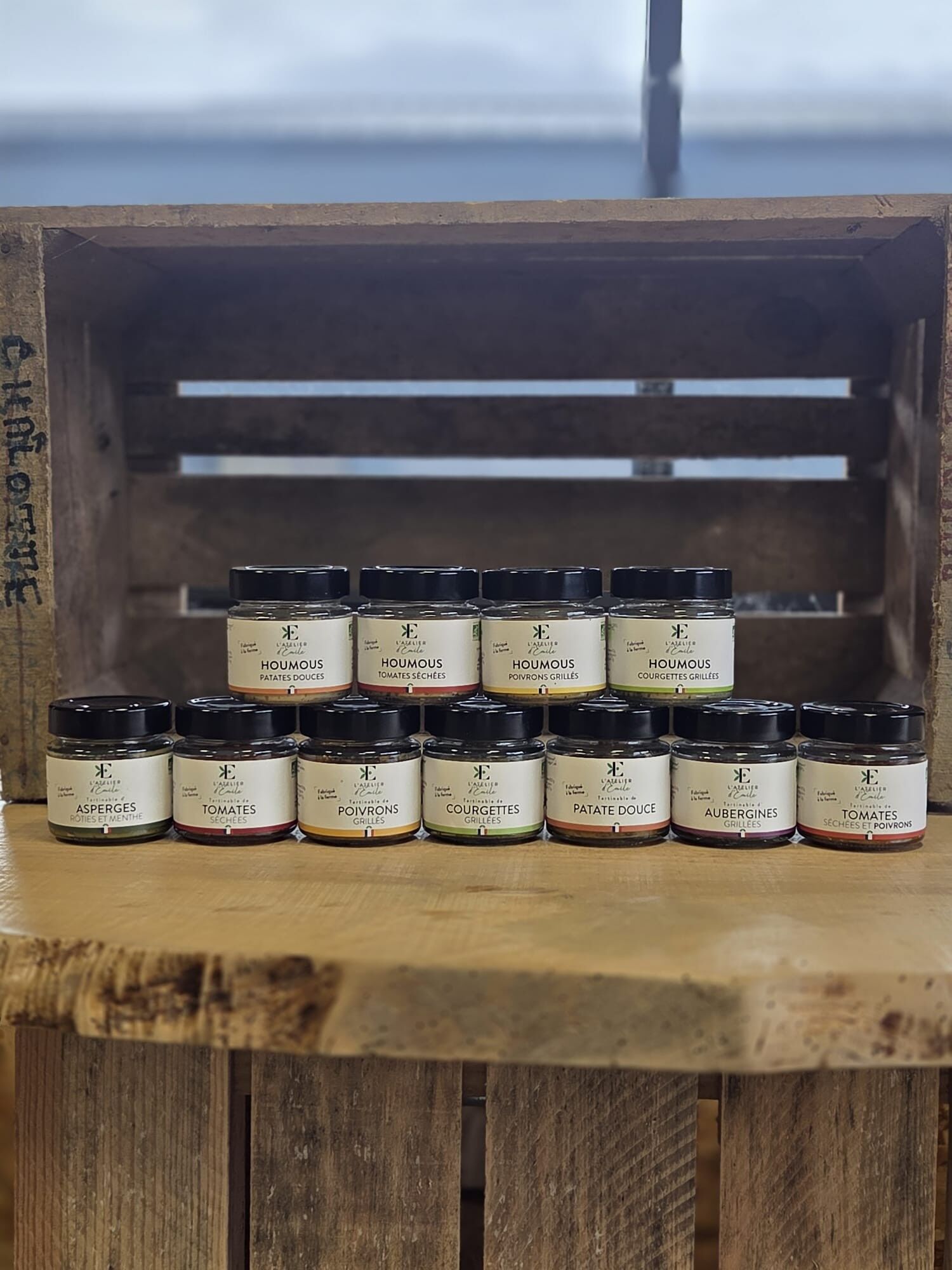 Pacchetto scoperta del laboratorio di Emile (1 scatola gratuita)