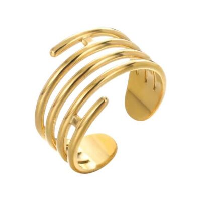 Anillos - 11356689 - 6 Oros
