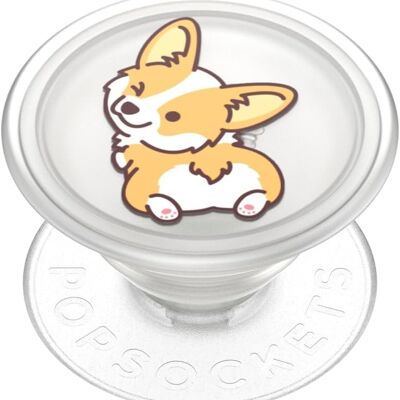 Corgi descarado translĂşcido