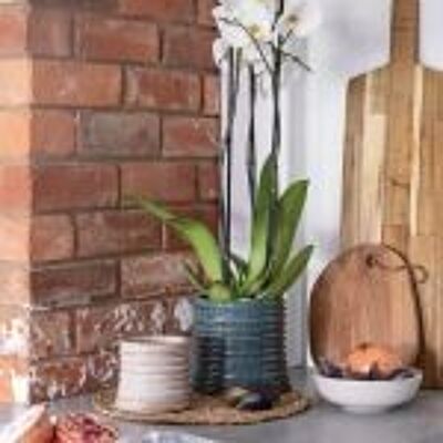 Jardinière roulée Casper 2 couleurs et 2 tailles disponibles