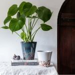 Jardinière émaillée en terre cuite Dover Foliage 2 tailles et couleurs disponibles