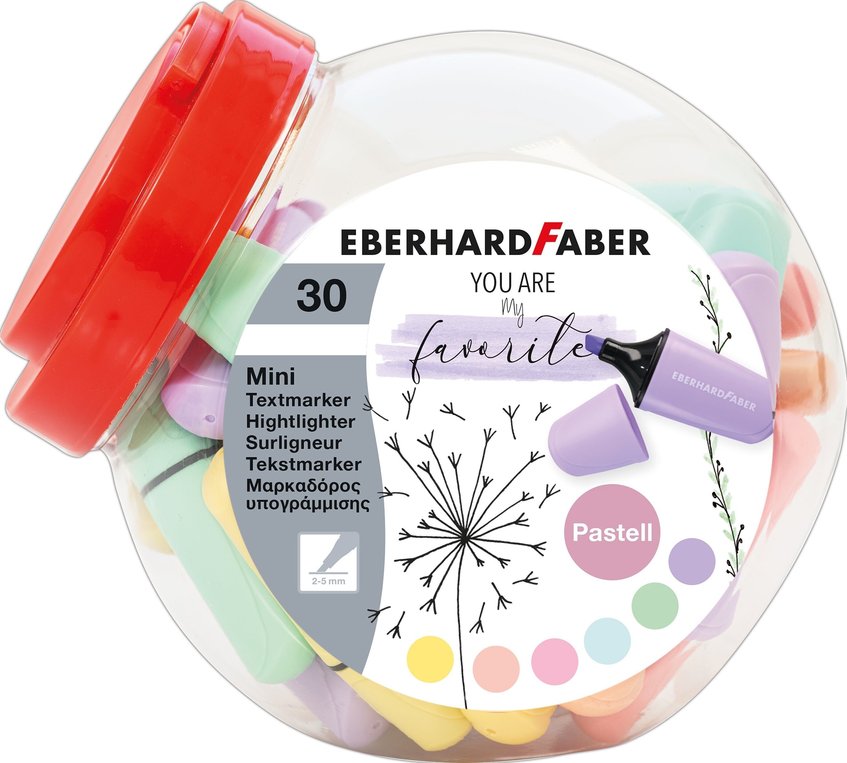 Evidenziatori Eberhard Faber Mini Pastel Colour, Confezione da 30, Penne Colorate, Marcatura, Documenti, Libri, Scuola, Lavoro, Università, Ufficio, Forniture per Insegnanti e Studenti, Set di Cancelleria, Riempitivi per Sacchetti da Festa