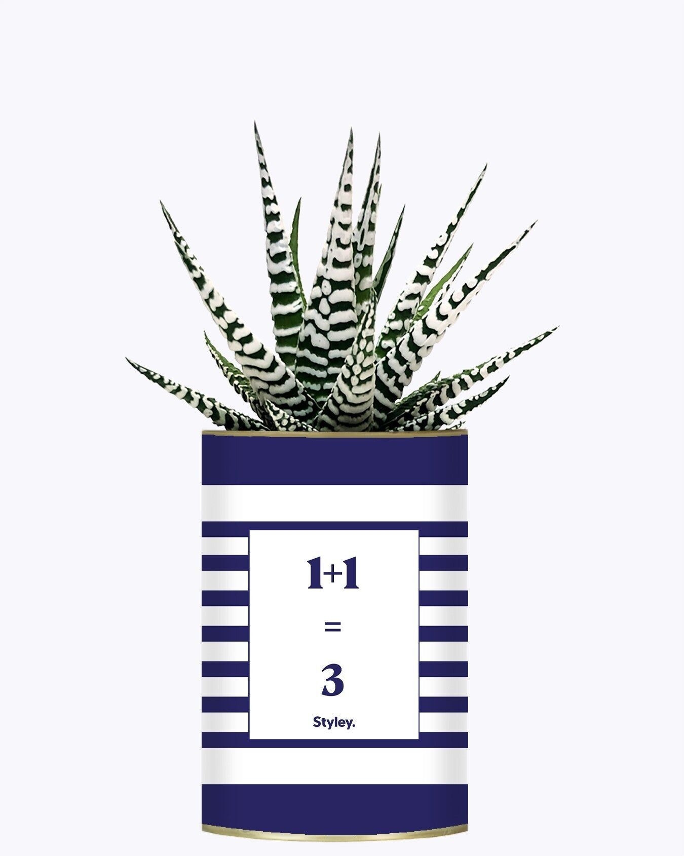 1 più 1 fa 3 - Pianta