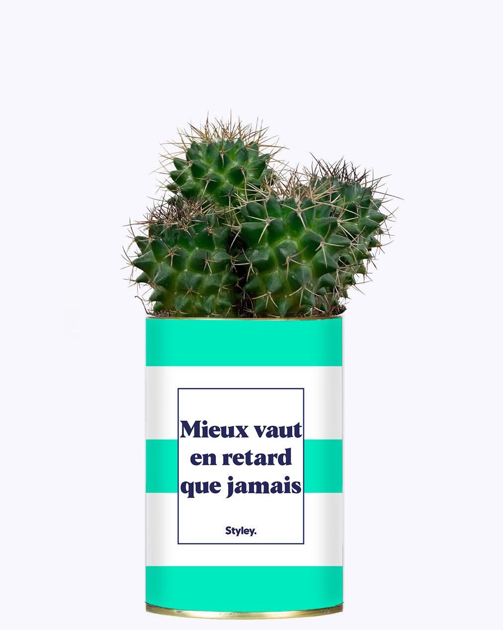 Meglio tardi che mai - Cactus