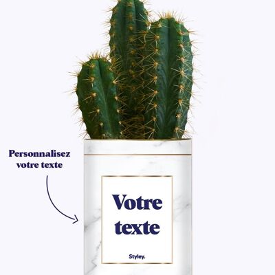 Cactus di marmo - Personalizzabile