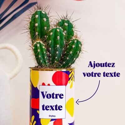Cactus Josiane - Personalizzabile