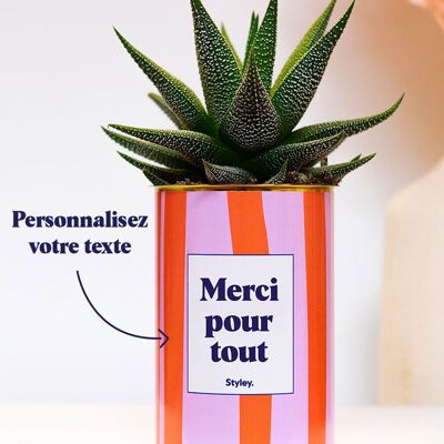 Capri - Personalizzabile