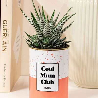 Cool Mum Club - Pianta succulenta