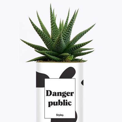 Pericolo pubblico - Cactus