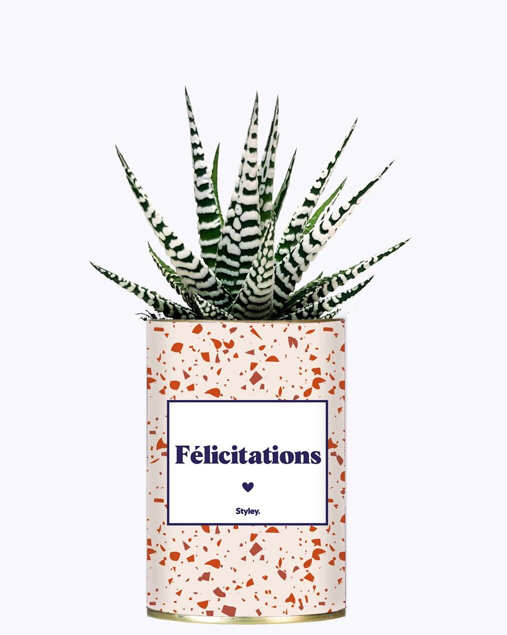 CONGRATULAZIONI - Cactus