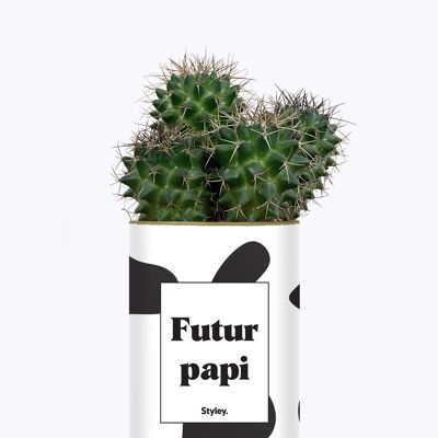 Futuro nonno - Pianta