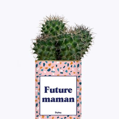 Futura mamma - Pianta