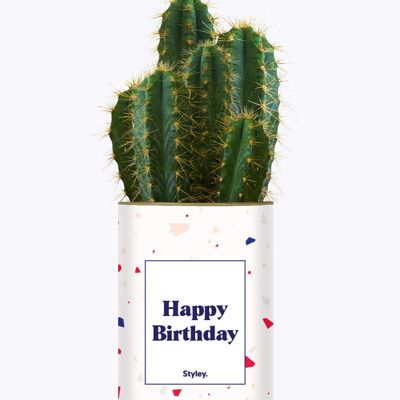 Buon compleanno - Cactus