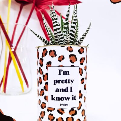Sono carina e lo so - Cactus