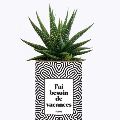 Ho bisogno di una vacanza - Pianta