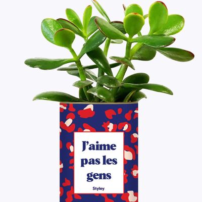 Non mi piacciono le persone - Pianta