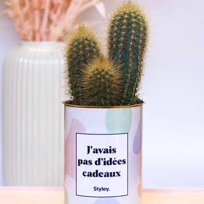 Non avevo idee regalo - Cactus